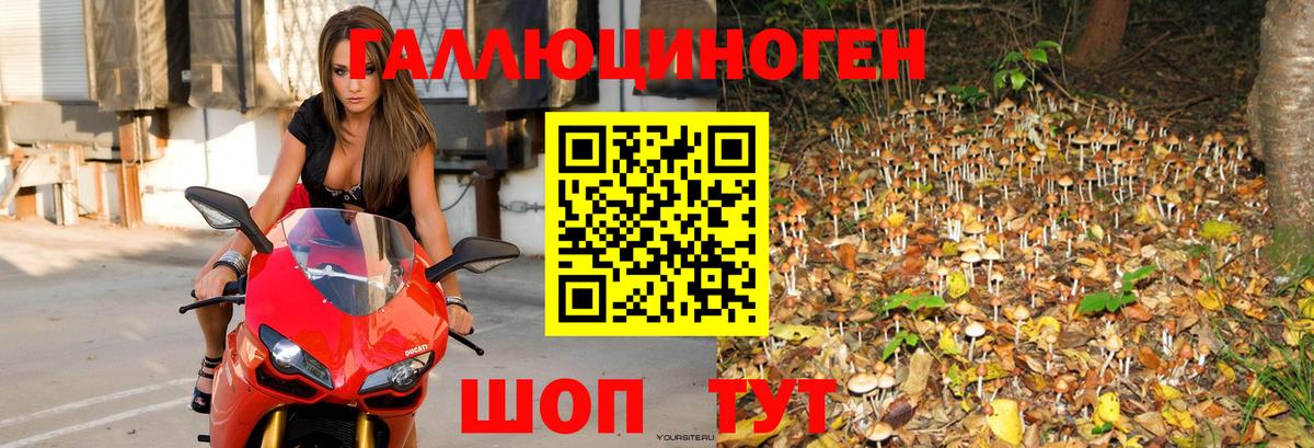 Псилоцибиновые грибы мухоморы Кубинка