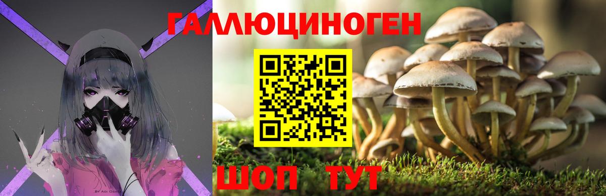 Кубинка  Галлюциногенные грибы GOLDEN TEACHER  Вход с VPN  Псилоцибиновые грибы прущие грибы 